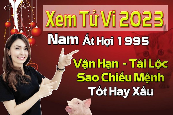 Xem tử vi tuổi Ất Hợi năm 2017 nam mạng 1995 chi tiết